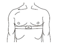 Polar on Chest