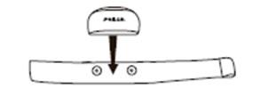 Polar Transmitter