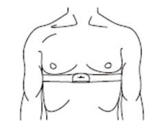 Polar on Chest