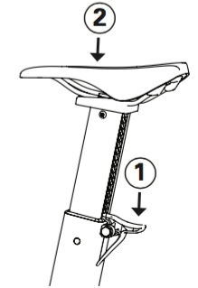 Line drawing shows that the ratchet lever is on the back of the seat post, where the post meets the BikeErg body. Push down on that first, then push down or pull up on the seat to adjust height.